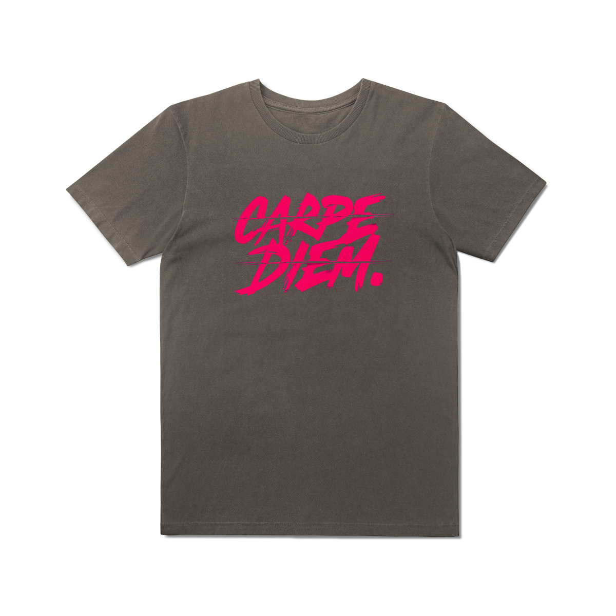 Camisa T-Shirt Estonada Carpe Diem