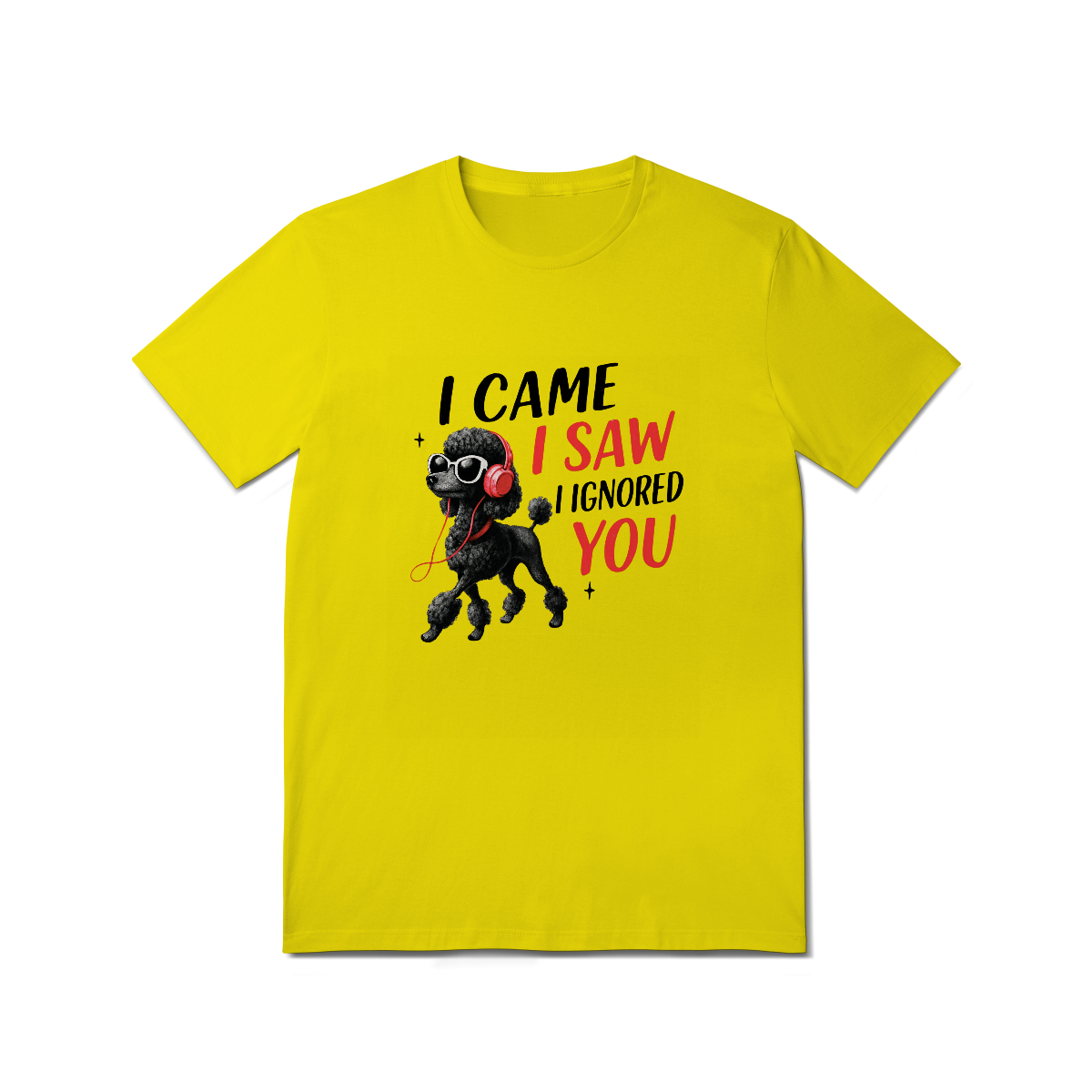 Camisa T-Shirt Quality I Came, I Saw, I Ignored You