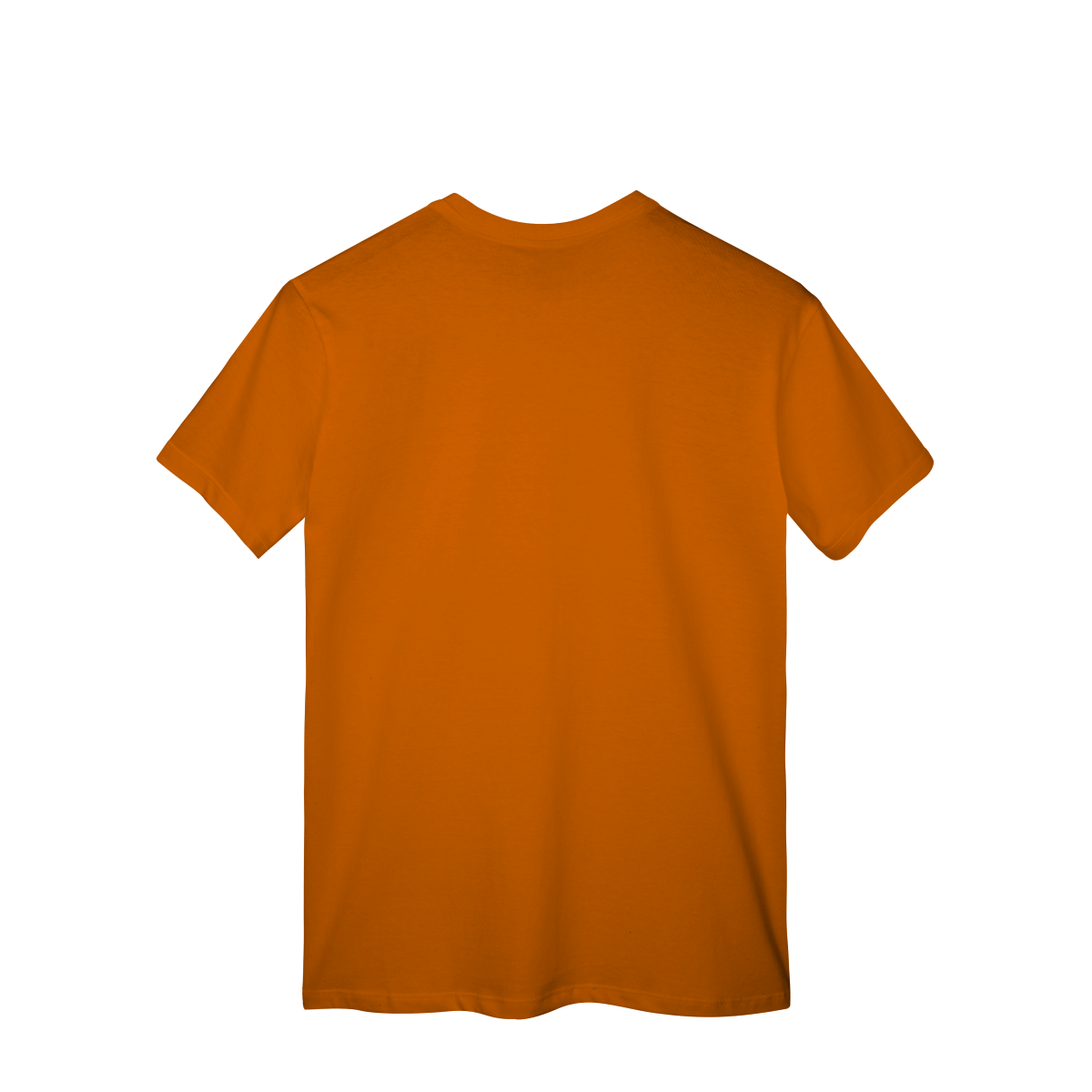 Camisa T-Shirt Classic DS Enmu