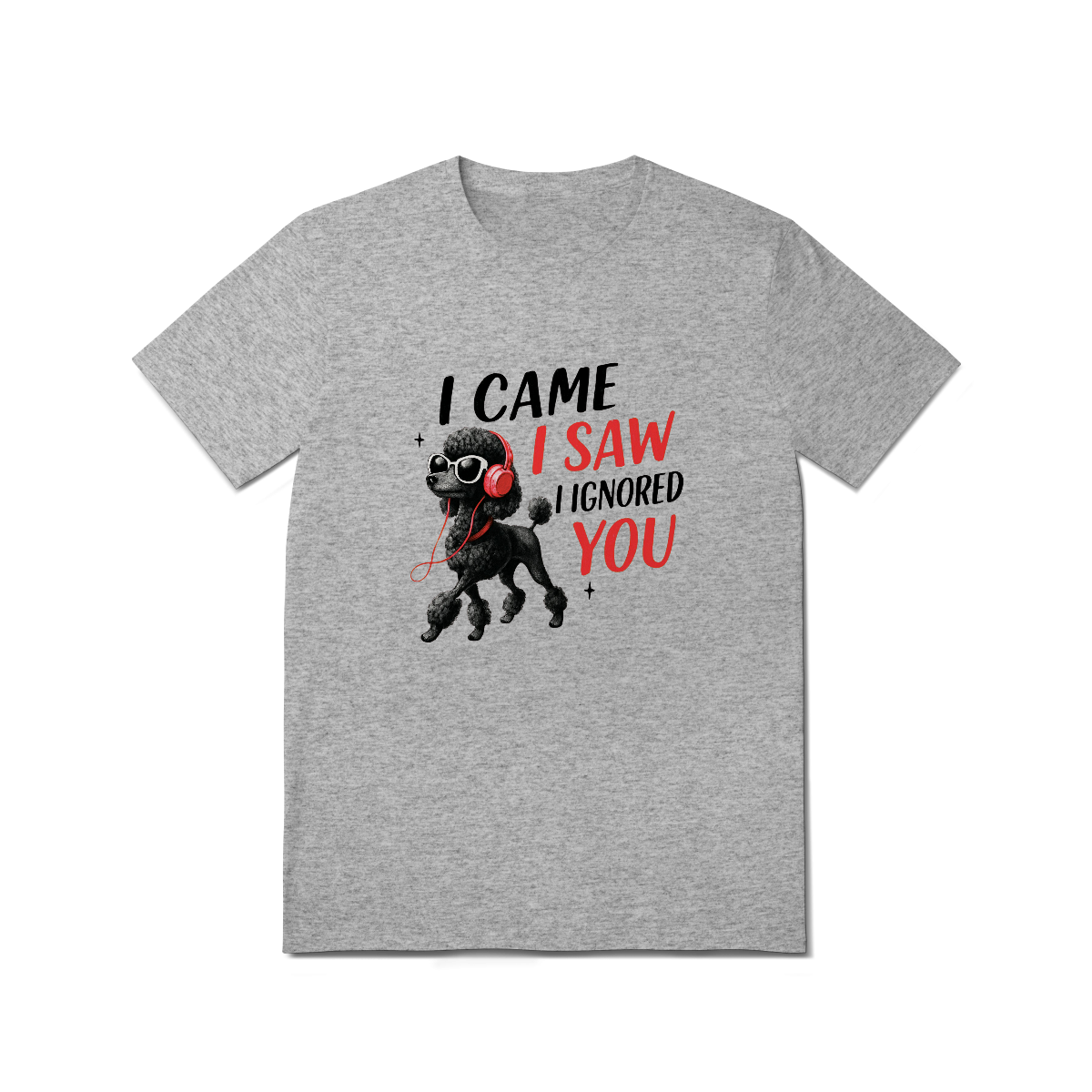 Camisa T-Shirt Quality I Came, I Saw, I Ignored You