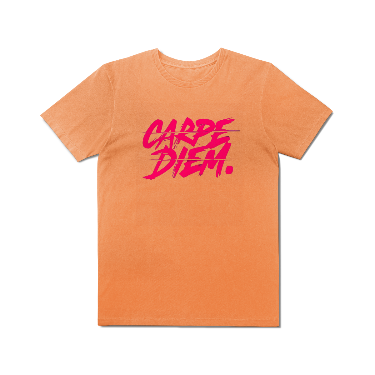 Camisa T-Shirt Estonada Carpe Diem