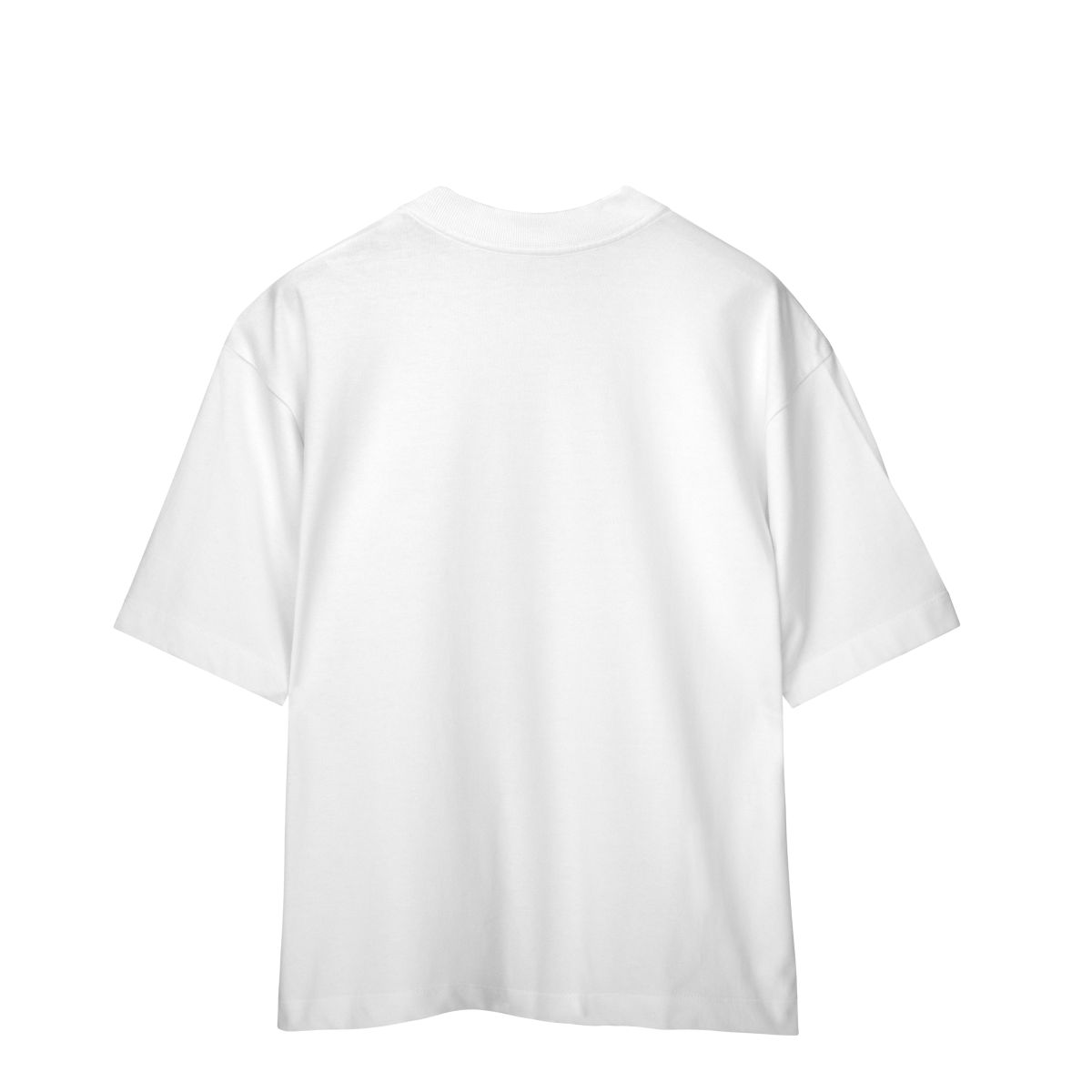 Camisa Oversized Game of Thrones Stark