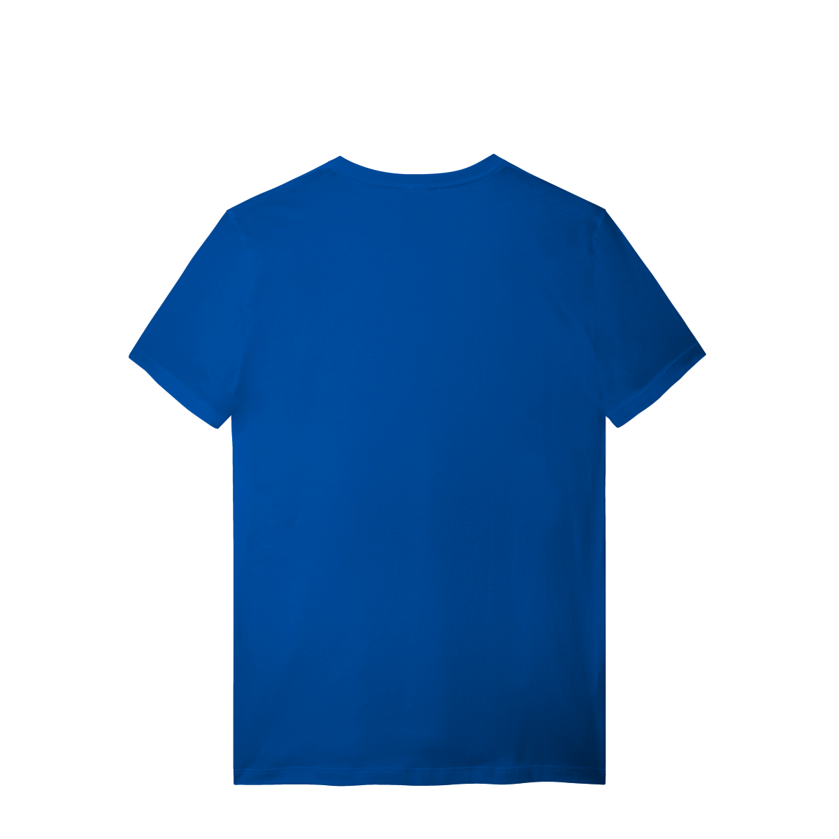 Camisa T-Shirt Quality I Came, I Saw, I Ignored You