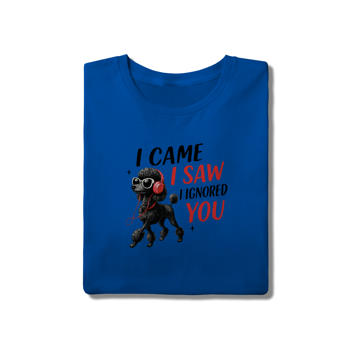 Camisa T-Shirt Quality I Came, I Saw, I Ignored You