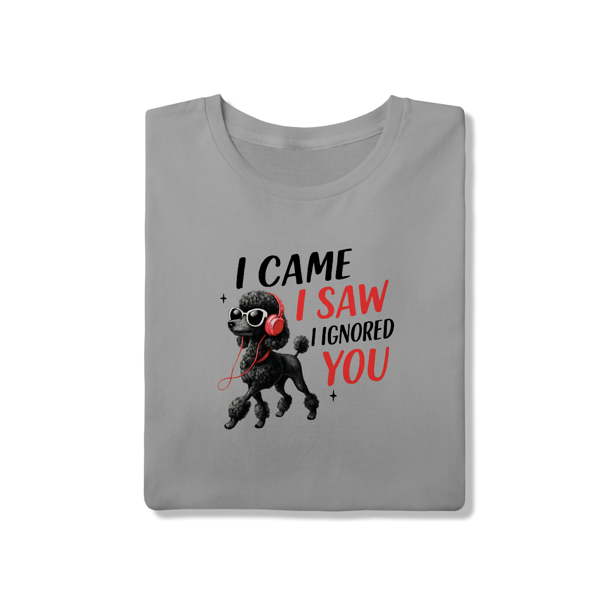 Camisa T-Shirt Quality I Came, I Saw, I Ignored You